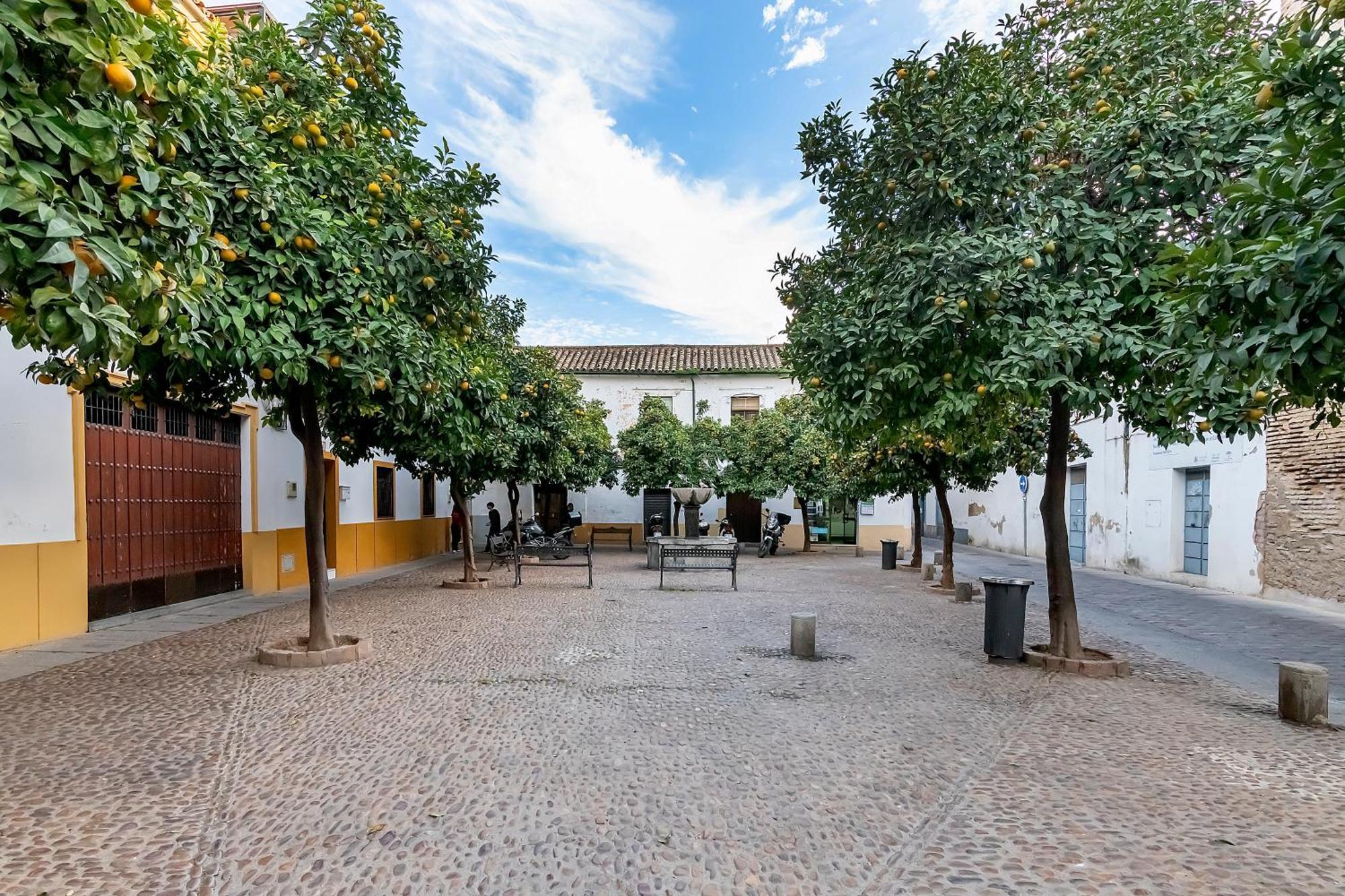 Apartmán Bhost - Regina VIII Córdoba Exteriér fotografie